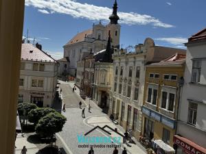 Pronájem bytu 1+kk, Kroměříž, Vodní, 49 m2
