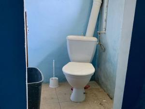 Prodej rodinného domu, Nová Ves - Louka, 350 m2