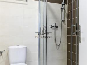 Pronájem bytu 2+1, Brno, Václavská, 38 m2