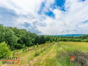 Prodej pozemku pro bydlení, Choustníkovo Hradiště, 5027 m2