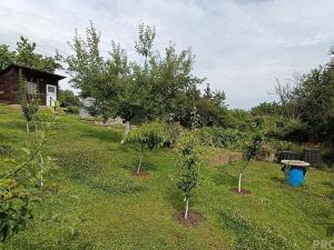 Prodej zahrady, Olomouc - Slavonín, 391 m2