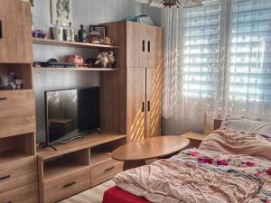 Prodej bytu 2+1, Tachov, Bělojarská, 51 m2