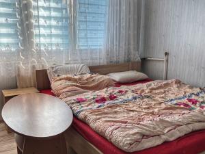 Prodej bytu 2+1, Tachov, Bělojarská, 51 m2