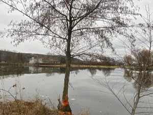 Prodej komerčního pozemku, Napajedla, 8000 m2