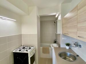 Pronájem bytu 1+kk, Mladá Boleslav, Jičínská, 37 m2