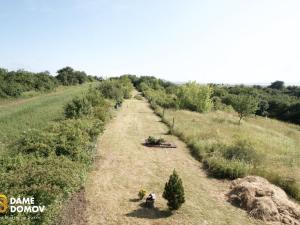 Prodej pozemku pro bydlení, Staré Město, 3731 m2