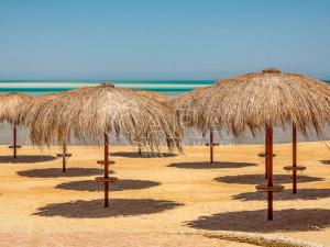 Prodej bytu 3+kk, Hurgáda,Egypt, 92 m2