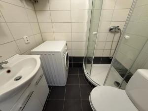 Pronájem bytu 1+1, Brno, Mlýnská, 38 m2