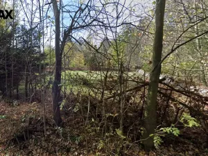 Prodej zahrady, Vacov, 1527 m2