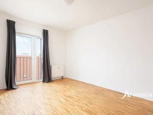Pronájem bytu 4+kk, Brno, Čápkova, 147 m2