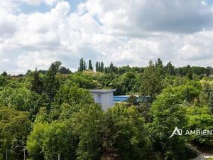 Pronájem bytu 4+kk, Brno, Čápkova, 147 m2