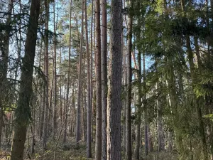 Prodej pozemku, Slabčice, 15673 m2