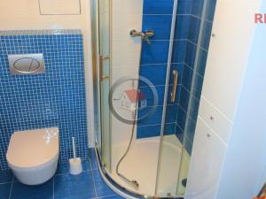 Pronájem bytu 1+kk, Třebíč, Modřínová, 42 m2