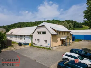 Pronájem výrobních prostor, Vigantice, 780 m2