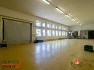 Pronájem výrobních prostor, Vigantice, 780 m2