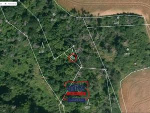 Prodej lesa, Křepenice, 9307 m2