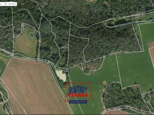 Prodej lesa, Křepenice, 9307 m2