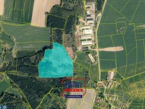 Prodej lesa, Ješetice, 52351 m2
