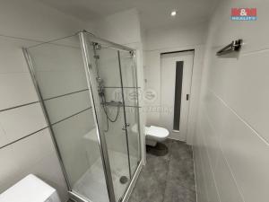 Pronájem bytu 2+1, Děčín - Děčín I-Děčín, Duchcovská, 60 m2