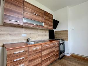 Pronájem bytu 3+1, Šilheřovice, Sokolská, 60 m2