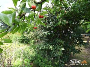 Prodej chaty, Louny, Na Losech, 20 m2