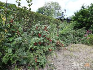 Prodej chaty, Louny, Na Losech, 20 m2