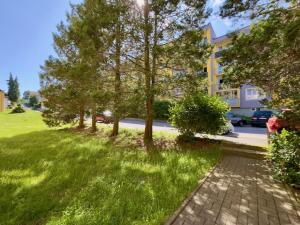 Pronájem bytu 2+1, Nový Bor, Riegrova, 58 m2