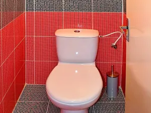 Pronájem bytu 2+1, Sezemice, Smetanova, 54 m2