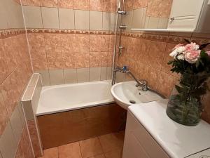 Prodej bytu 1+kk, Český Těšín, Slezská, 28 m2