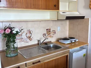 Prodej bytu 1+kk, Český Těšín, Slezská, 28 m2