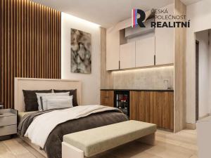 Prodej obchodního prostoru, Karlovy Vary, Zámecký vrch, 670 m2