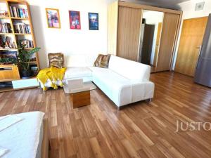 Prodej bytu 1+kk, Písek - Pražské Předměstí, V Portyči, 51 m2