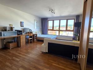 Prodej bytu 1+kk, Písek - Pražské Předměstí, V Portyči, 51 m2