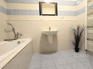 Prodej bytu 1+kk, Písek - Pražské Předměstí, V Portyči, 51 m2