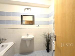 Prodej bytu 1+kk, Písek - Pražské Předměstí, V Portyči, 51 m2