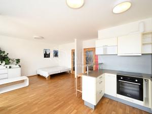 Pronájem bytu 1+kk, Praha - Holešovice, U měšťanského pivovaru, 45 m2
