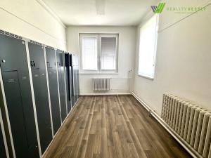 Prodej obchodního prostoru, Dubňany, Horní huť, 400 m2
