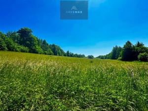 Prodej chaty, Město Albrechtice - Česká Ves, 91 m2