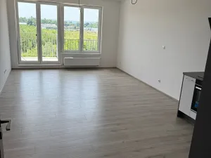 Pronájem bytu 1+kk, Pardubice, Pod Vinicí, 39 m2