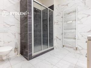 Pronájem bytu 2+1, Teplice, Benešovo náměstí, 76 m2