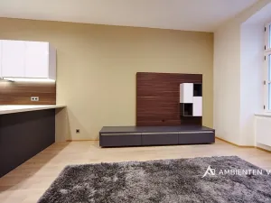 Pronájem bytu 2+kk, Brno, Jakubská, 59 m2
