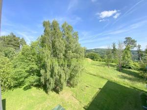 Prodej bytu 1+kk, Vsetín, Bratří Hlaviců, 33 m2