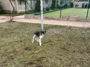 Prodej bytu 1+kk, Nesebar, Bulharsko, 27 m2