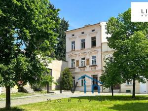 Prodej bytu 1+kk, Olomouc, Blažejské náměstí, 25 m2