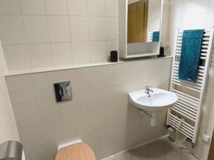 Pronájem bytu 1+kk, Praha - Žižkov, Kališnická, 40 m2