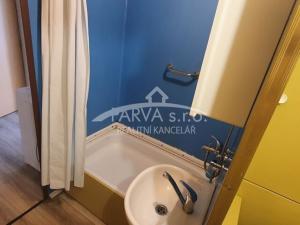 Pronájem bytu 1+kk, Plzeň - Severní Předměstí, Hodonínská, 32 m2