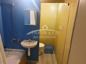 Pronájem bytu 1+kk, Plzeň - Severní Předměstí, Hodonínská, 32 m2