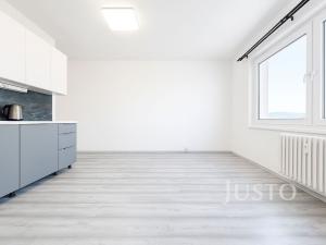 Pronájem bytu 1+1, Ústí nad Labem - Střekov, Jeseninova, 36 m2