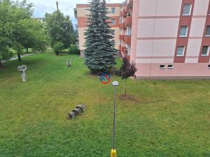Pronájem bytu 3+1, Litovel, Novosady, 71 m2