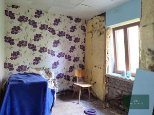 Prodej rodinného domu, Nová Ves, 250 m2